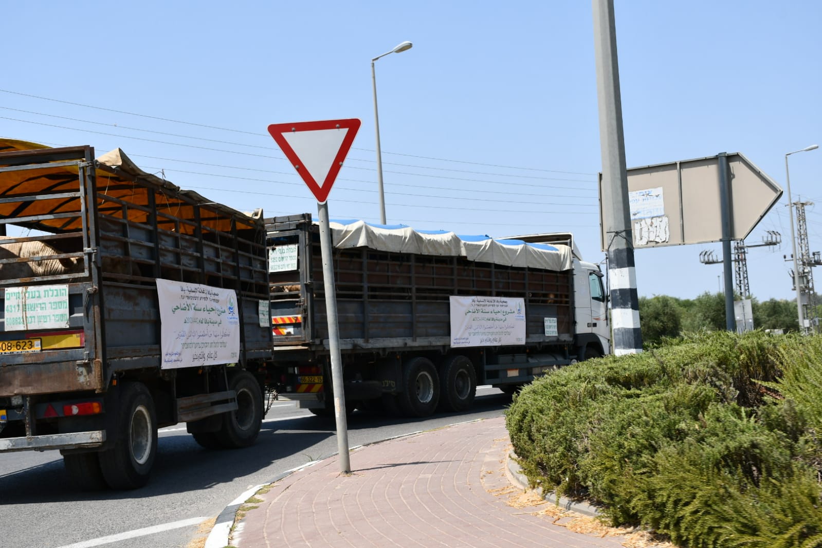 WhatsApp Image 2021-07-19 at 1.01.18 PM (1).jpeg